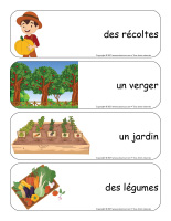 Étiquettes-mots géants-Récoltes-1