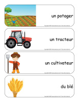 Étiquettes-mots géants-Récoltes-2