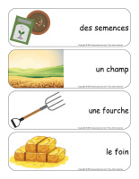 Étiquettes-mots géants-Récoltes-3