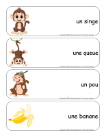 Étiquettes-mots géants-Singes-1