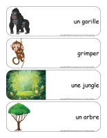 Étiquettes-mots géants-Singes-2