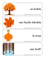 &Eacute;tiquettes-mots g&eacute;ants-Temps des sucres-1