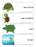 Étiquettes-mots-géants-Tortues-1