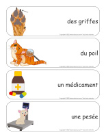 Étiquettes-mots-géants-Vétérinaires-1