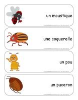 Étiquettes-mots géants-les bestioles-2