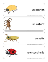 Étiquettes-mots géants-les bestioles-3