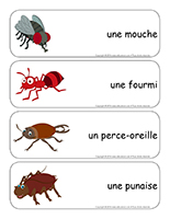 Étiquettes-mots-géants-les bestioles