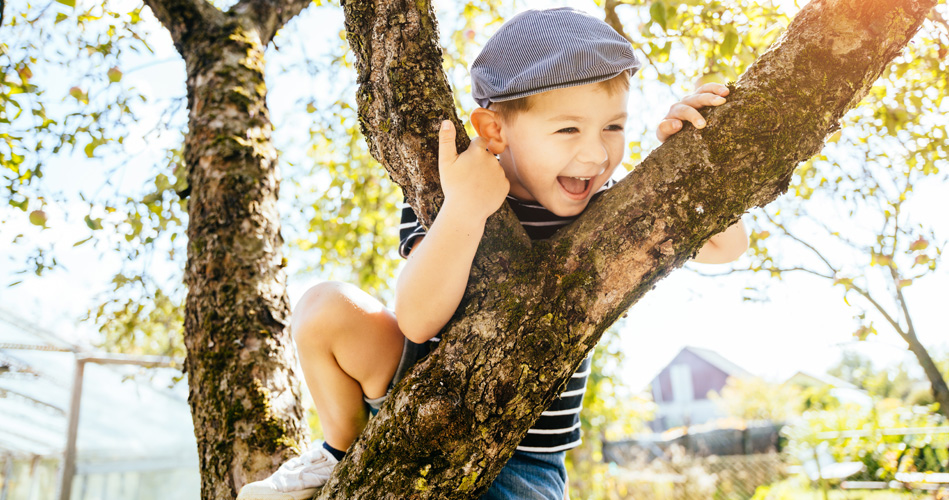 Exploiter les arbres