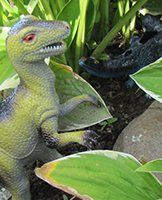 Fascinés par les dinosaures-1 Fascinés par les dinosaures-1