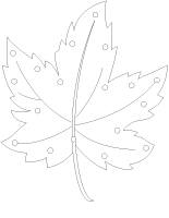 Feuilles à lacer