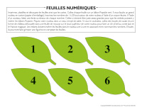 Feuilles numériques