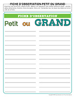 Fiche d’observation-Petit ou grand