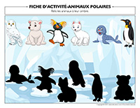 Les animaux polaires, activités pour enfants.