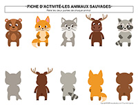 Fiches d’activité-Animaux sauvages