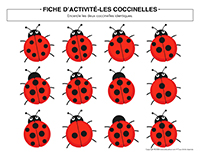Fiches d&rsquo;activite-Coccinelles