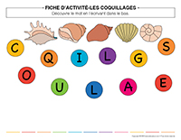 Fiches d'activité-Coquillages