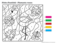 Fiches d’activité-Flamants roses