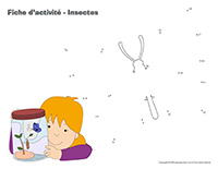 Fiches d’activité-Insectes