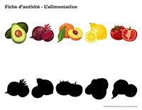 Fiches d’activité-L’alimentation