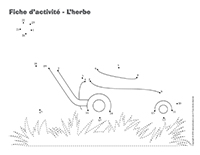 Fiches d'activité-L’herbe