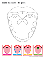 Fiches d’activité-Le gout