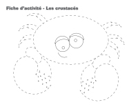 Fiches d'activité-Les crustacés