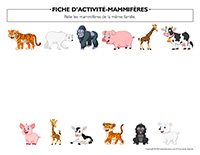 Fiches d’activité-Mammifères