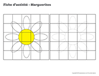 Fiches d’activité-Marguerites