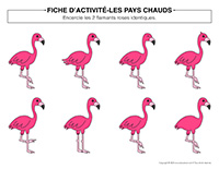 Fiches d'activité-Pays chauds