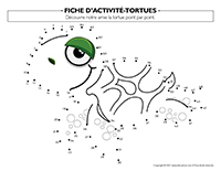 Fiches d’activité-Tortues