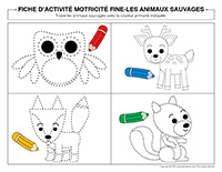 Fiches d’activité motricité fine-Animaux sauvages