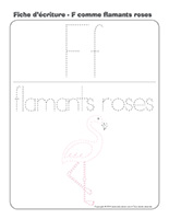 Fiches d’écriture-Flamants roses