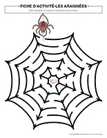 Fiches dactivite-Araignees