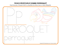Fiches decriture-P comme Perroquet