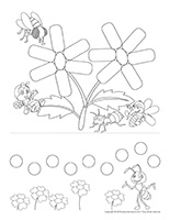 Fiches éduca-nouilles-Insectes