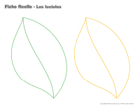 Fiches ficelle-Les lucioles Fiches ficelle-Les lucioles