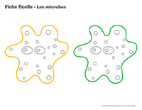 Fiches-ficelle-Les microbes Fiches-ficelle-Les microbes