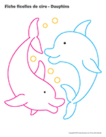 Fiches-ficelles de cire-Dauphins