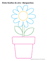 Fiches-ficelles de cire-Marguerites