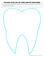 Fiches-ficelles de cire-Santé dentaire