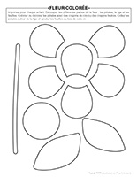 Fleur colorée