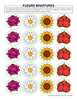 Fleurs miniatures 2026