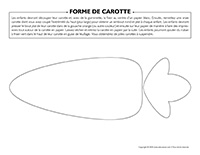 Forme de carotte