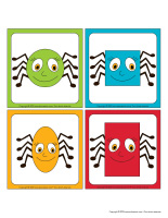 Formes et couleurs-Araignees-2