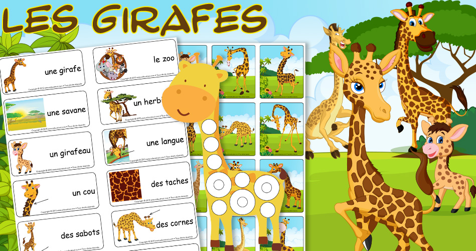 Girafes