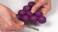 Grape Raisins-8