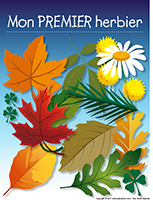 Herbier Herbier
