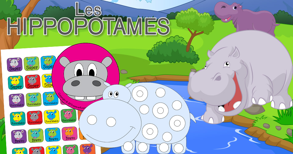 Hippopotames