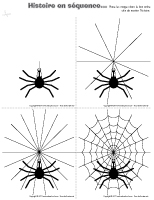 Histoire en séquence - Les araignées