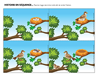 Histoire en séquence-Oiseaux
